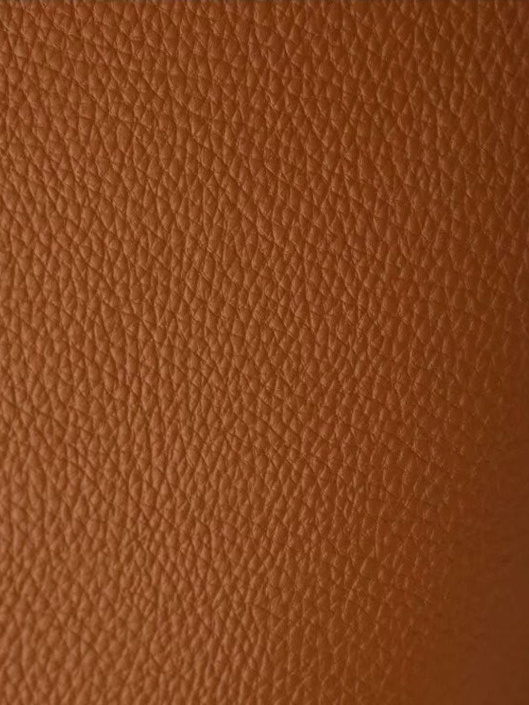 Camille Camel Trapeze Handbag